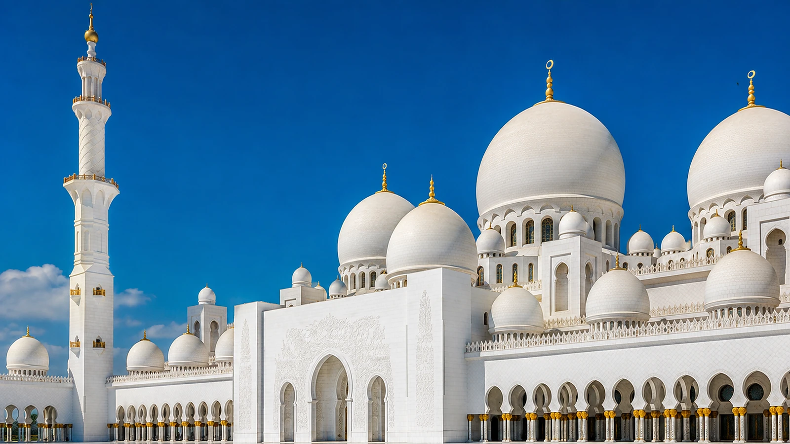 Private Abu Dhabi city tour bus following a planned cultural sightseeing route.